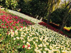-上海鲜花港