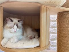 -iF摄影•全家福•证件照•形象照(南山店)