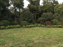 -蜀冈西峰生态公园