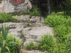 -广州市白云山风景名胜区