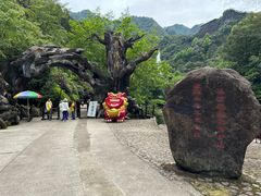 -龙湾潭国家森林公园