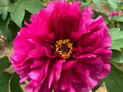 -北京西山国家森林公园