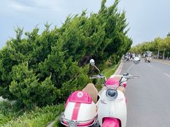 -养马岛旅游度假区