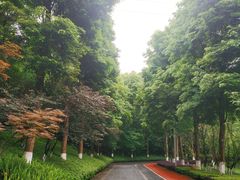 -龙头寺公园