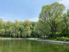 -黑龙江省森林植物园