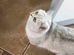 -青春加萌照相馆