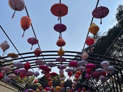 -无锡梅园公园