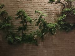 -浅深Cheersum(曹杨店)