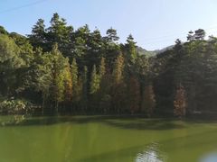 -广州市帽峰山景区