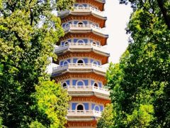 -灵谷景区