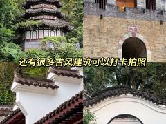 -深圳国际园林花卉博览园