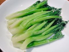 -CHIC1699远洋私厨