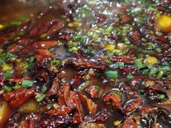 -黑竹香鸡(营和巷店)