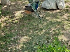 -天津市动物园