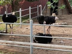 -西安秦岭野生动物园