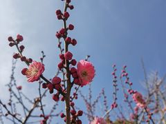 -狼山风景名胜区