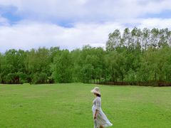 -长白岛森林公园