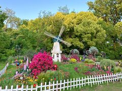 -上海共青森林公园