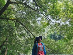 -南岳衡山风景名胜区