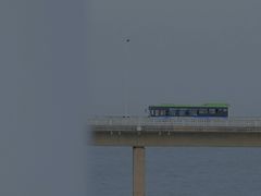 -海堤纪念公园