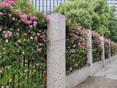 -黄浦路(地铁站)