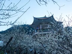 -广州市流溪河国家森林公园