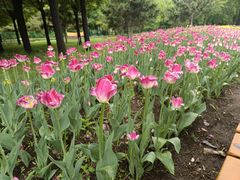 -长春公园(普阳街道)