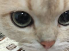 -海门爱心宠物医院