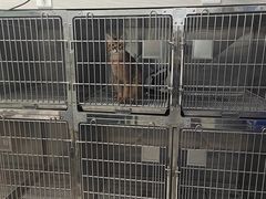 -芭比堂动物医院(广州爱宠下渡路分院)