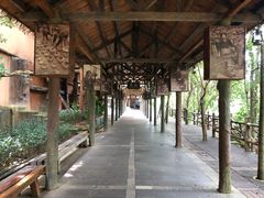 -海南槟榔谷黎苗文化旅游区
