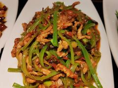 -陈麻婆豆腐总店