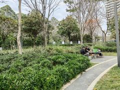 -景田北六街公园宠物主题园