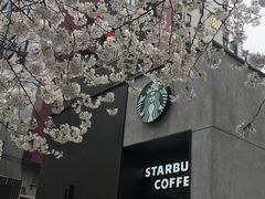-玛格萝妮比萨屋(四平店)