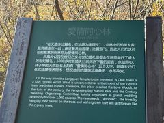 -北京凤凰岭