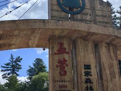 -五营红松林海景区