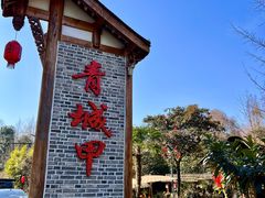 -青城甲(青城山店)