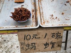 -蒲河大集