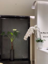 -奥斯芬·欧系贵族SPA