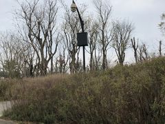 -白鹭湾湿地公园