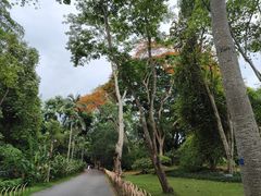 -中国科学院西双版纳热带植物园