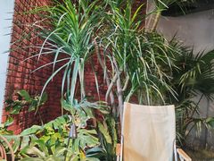 -J Create城市露营咖啡·简餐·宠物(上海动物园店)