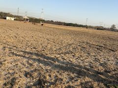 -嘉北郊野公园