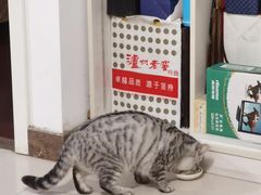 -皇城根北京风味主题餐厅(中海环宇城店)