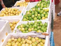 -三亚新鸿港水果一级批发市场