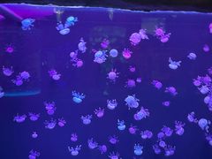 -石家庄极地海洋世界