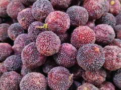 -港华水果街(港华广场店)