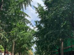 -四川大学(望江校区)