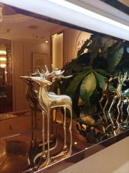 -茜尔维亚修身连锁(杨浦五角场店)