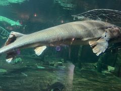 -华夏文旅西安度假区