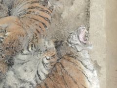 -栾川竹海野生动物园